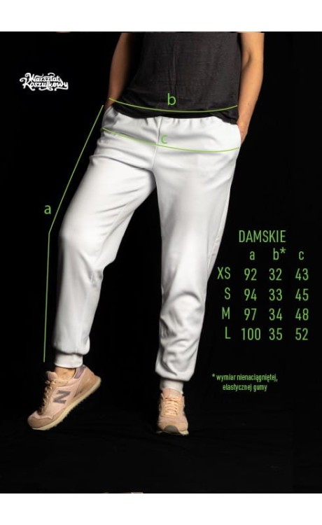 FLYVENGERS spodnie dresowe