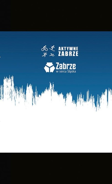 Aktywne Zabrze komin