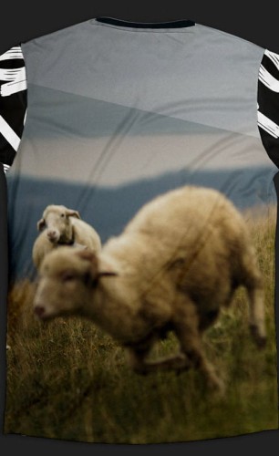 4268194cbbfbc553e65a3cc0d276b807