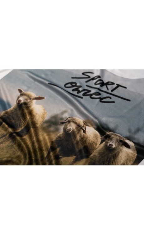 1a2a669c6ebd613aba888090332a982e