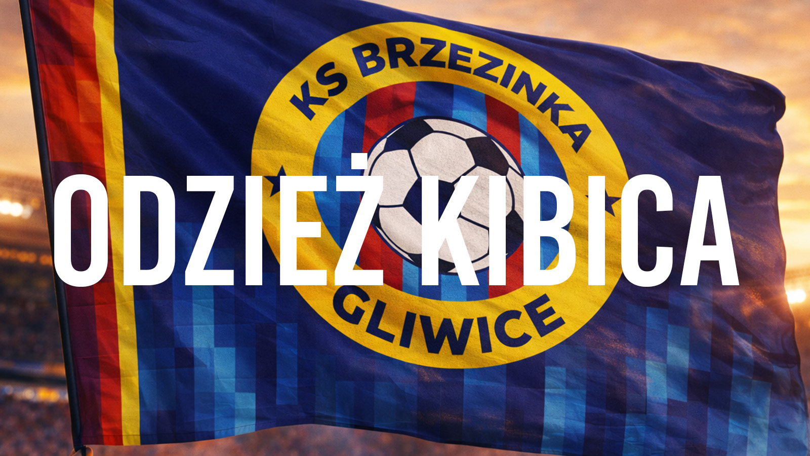 Obraz kategorii